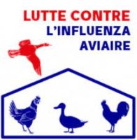 Lire la suite à propos de l’article Arrêté grippe aviaire