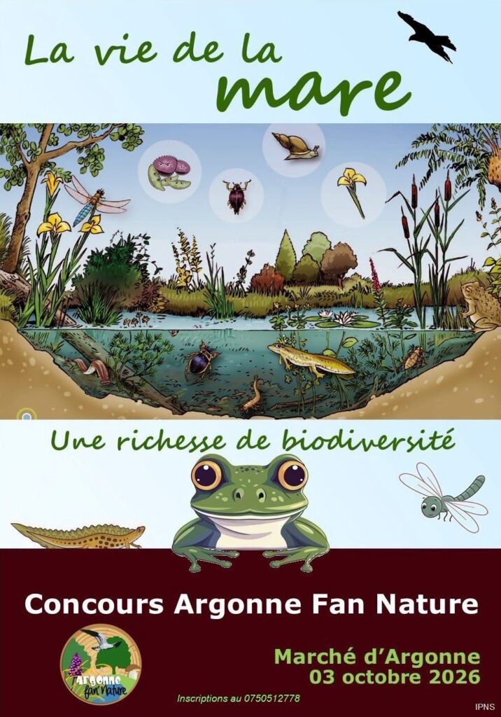 affiche concours AFN MA 2026
